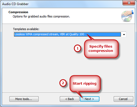 Specify Output Quality & Start Ripping